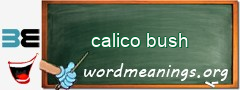 WordMeaning blackboard for calico bush